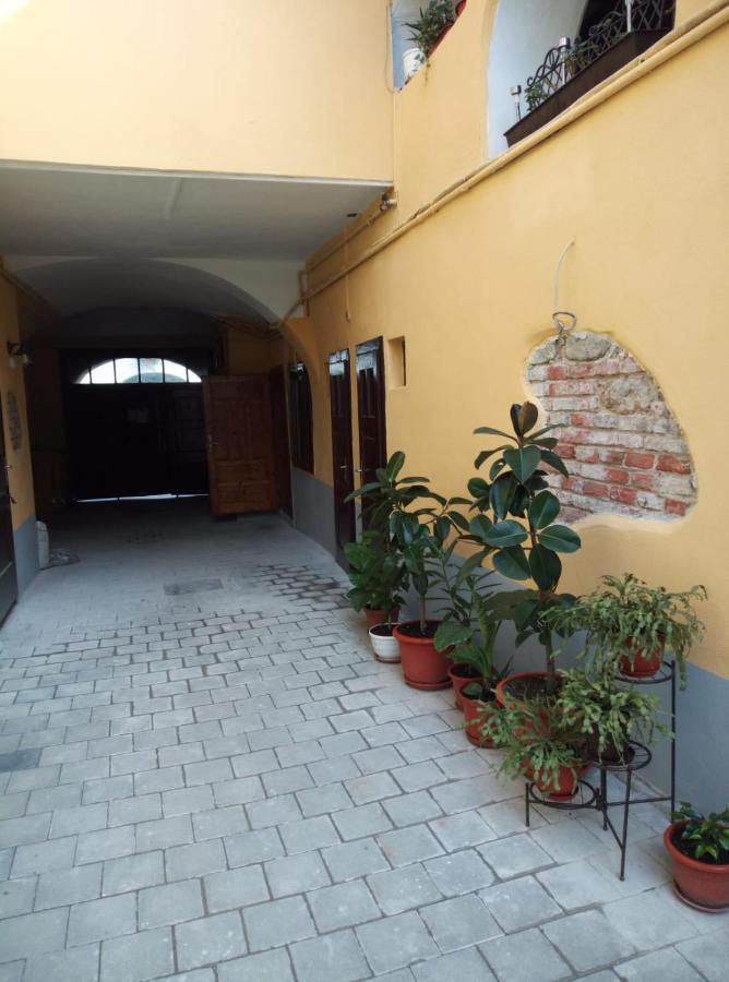 Msh Rustic Apartment - Liars Bridge Sibiu Exterior foto